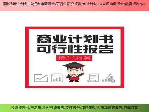 大同市合作股權合并項目可行性研究報告基本要求——銷售自行開發后的產品